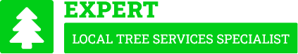 Bay of Plenty Tree Care - Tree Removal Bay of Plenty